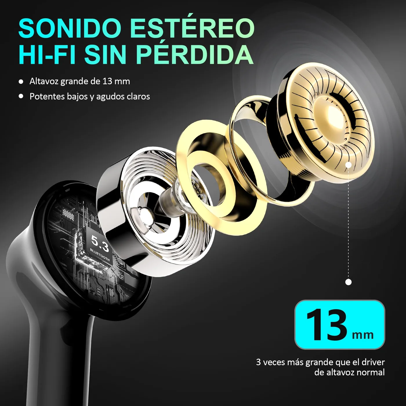 Cervanta i17 — imagen 2