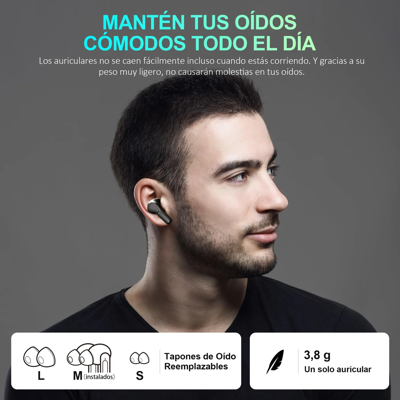 Cervanta i17 — imagen 3