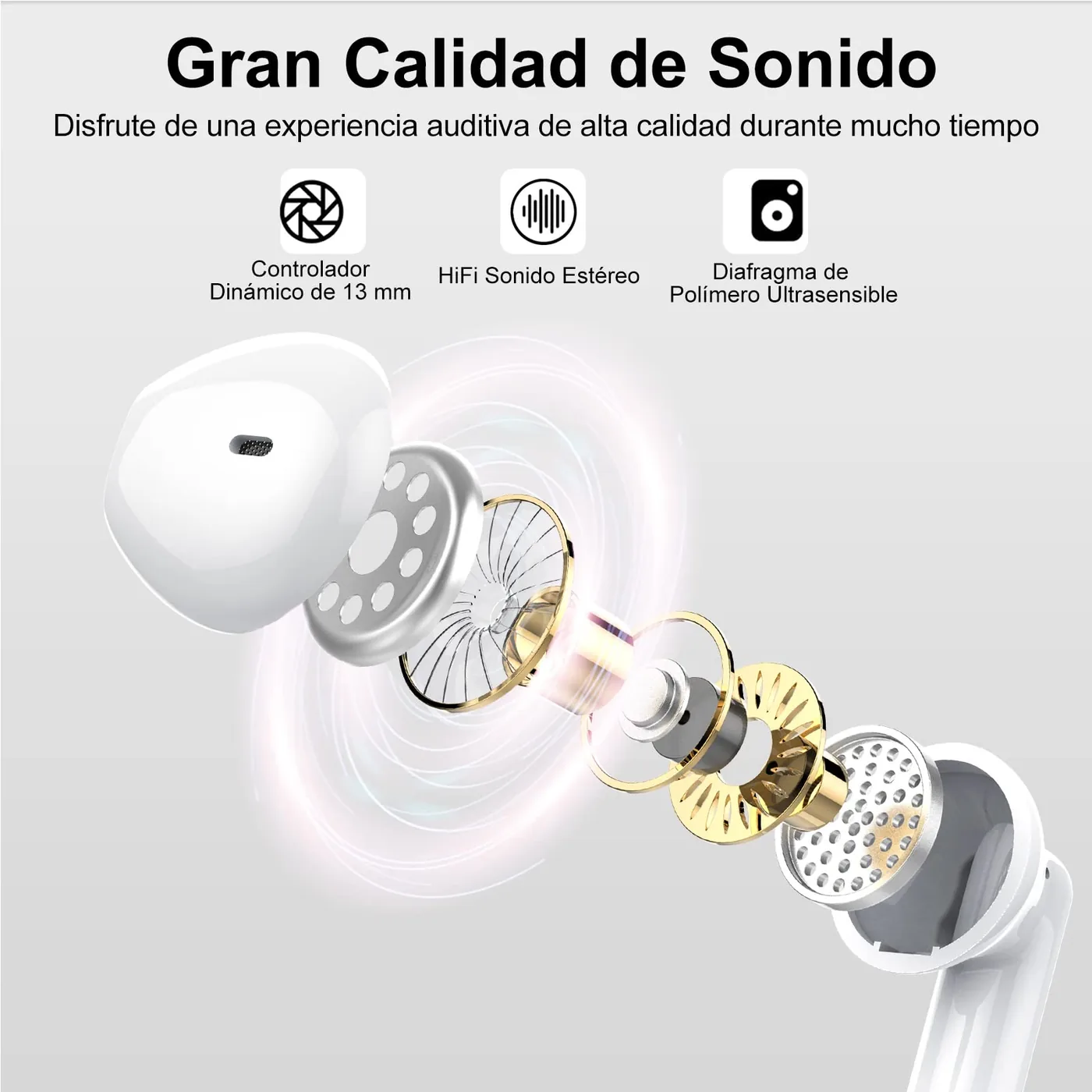 Jesebang BD86 — imagen 2